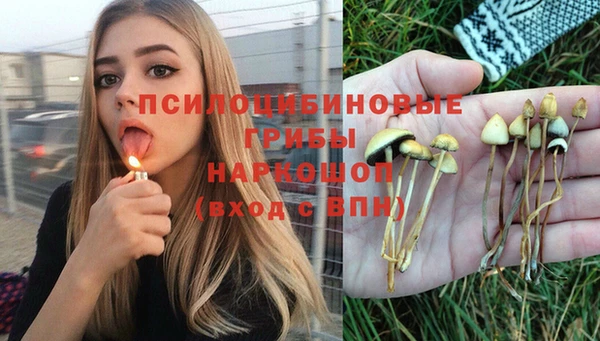 кристаллы Алзамай